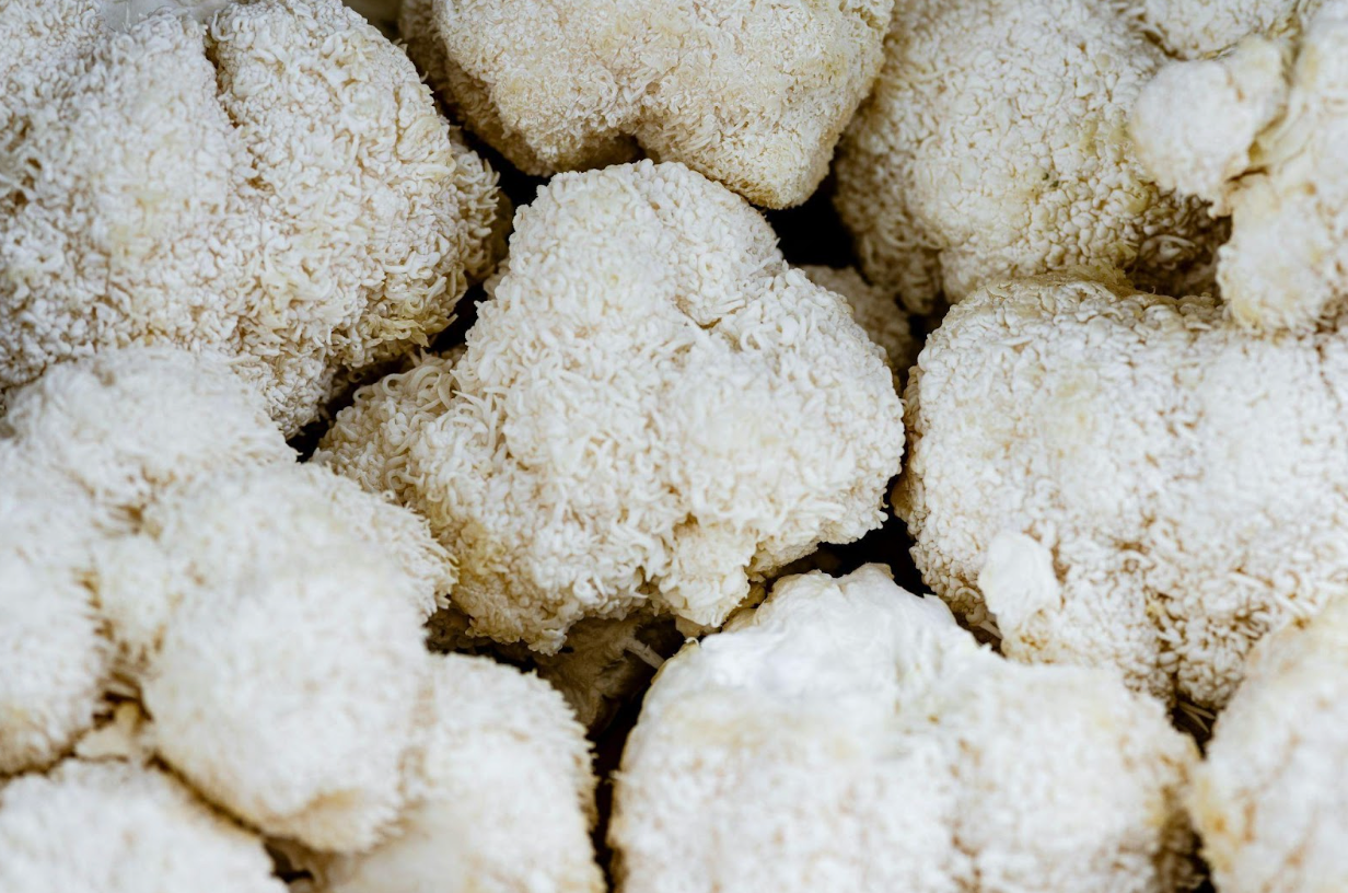 Lion's mane, vagus nerve, choline